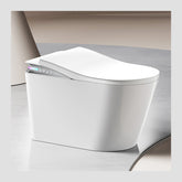Elysium Ultimate Smart Bidet Toilet